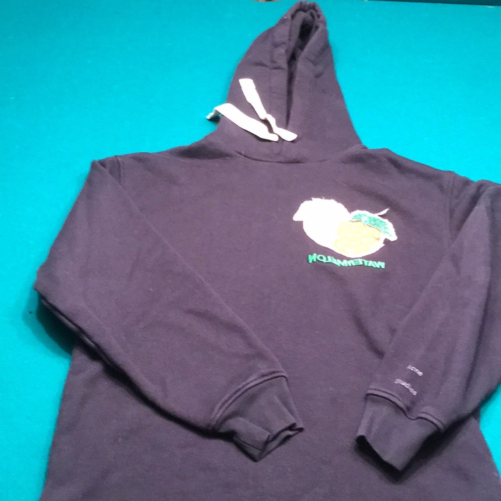 Acne Studios Fagen Berry Hoody